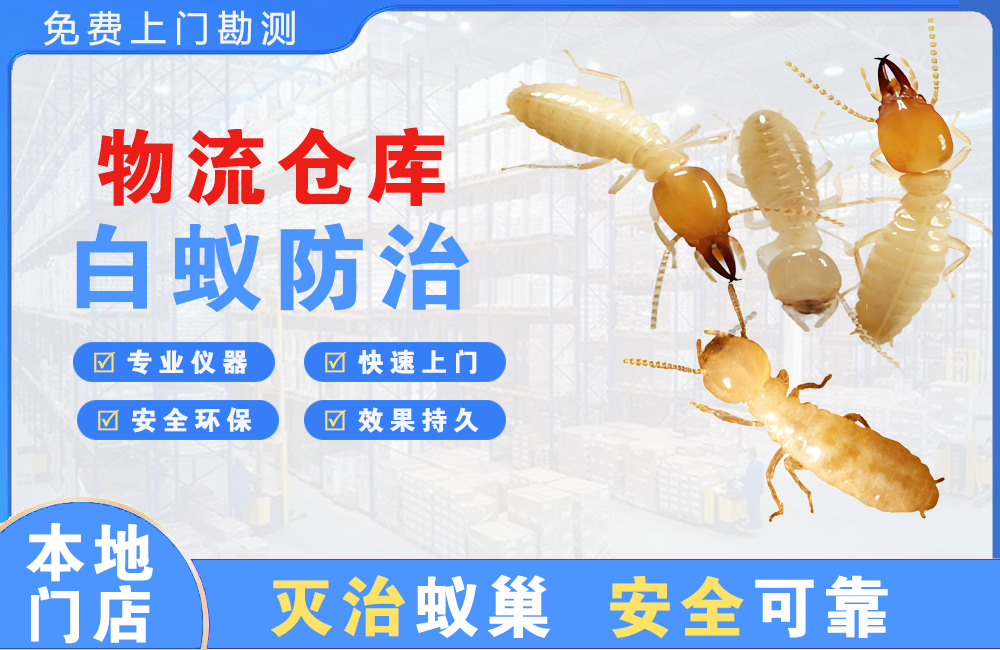 南安物流仓库白蚁防治