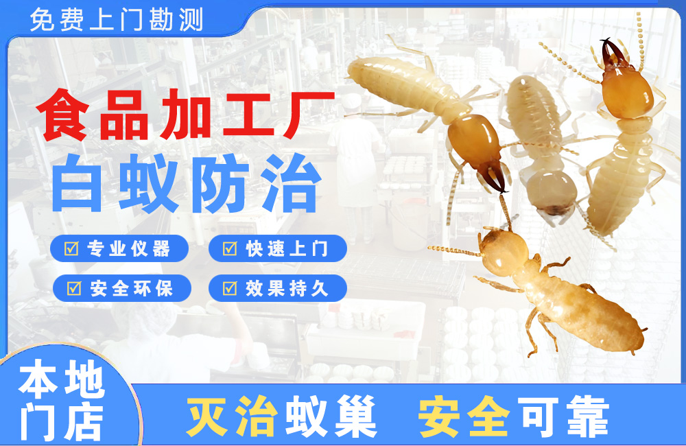 南安食品加工厂白蚁防治