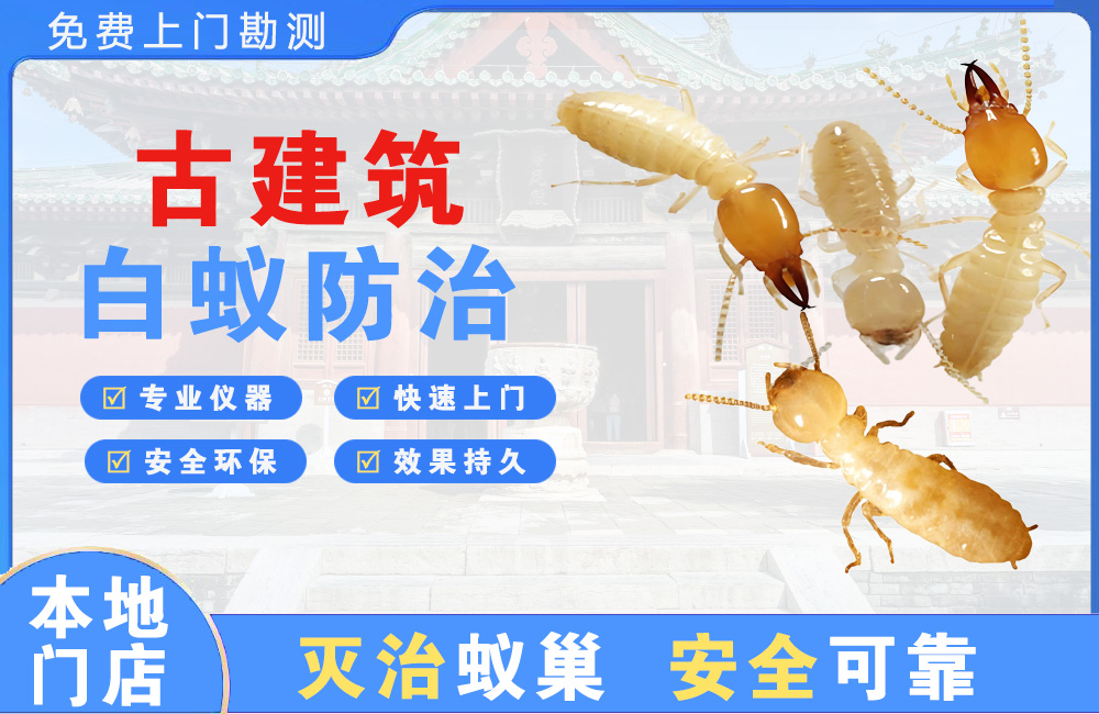南安古建筑白蚁防治