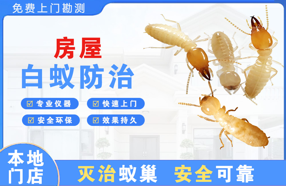 南安房屋白蚁防治