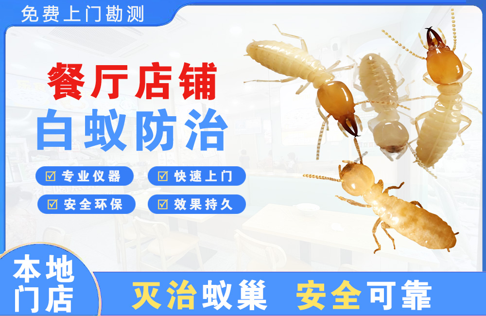 南安餐厅店铺白蚁防治